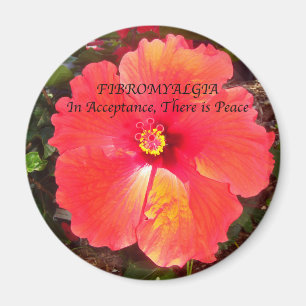 Imán Aceptación fibro