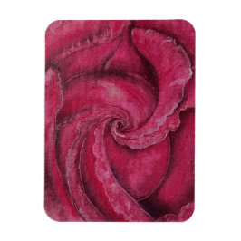 Imán Acercamiento a la rosa roja