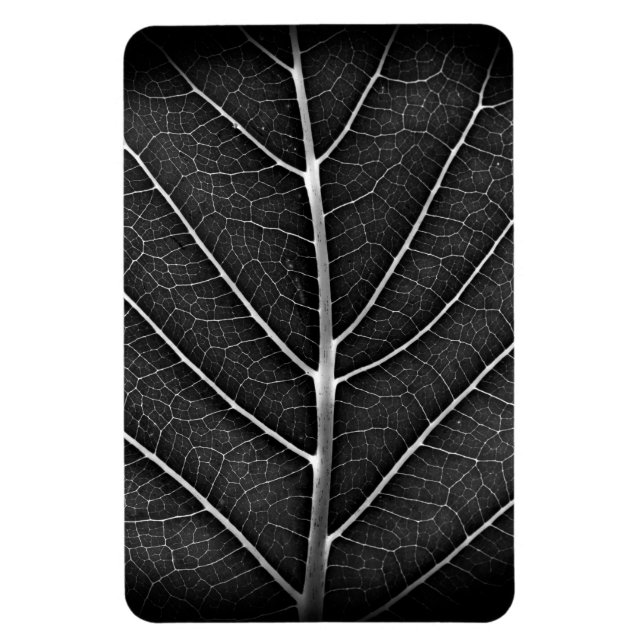 Imán Acercamiento de la hoja brillante en blanco y negr (Vertical)