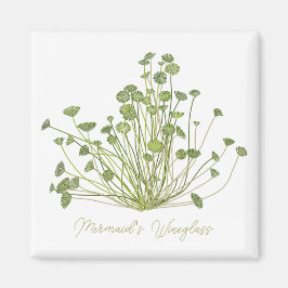 Imán Acetabularia Seaweed Art Square Magnet