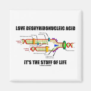 Imán Ácido desoxirribonucléico del amor es la materia