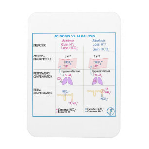 Imán Acidosis vs Alcalosis Magnesis