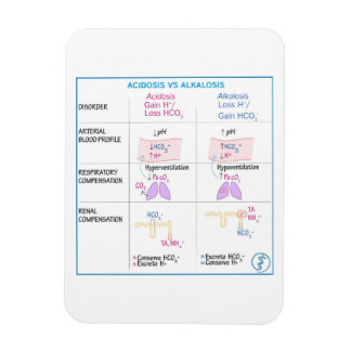 Imán Acidosis vs Alkalosis Magnate
