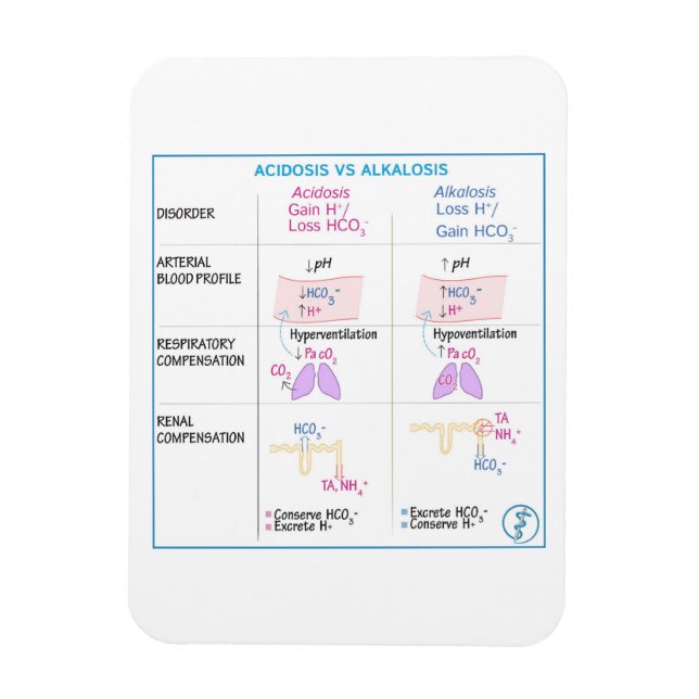 Imán Acidosis vs Alkalosis Magnate (Vertical)