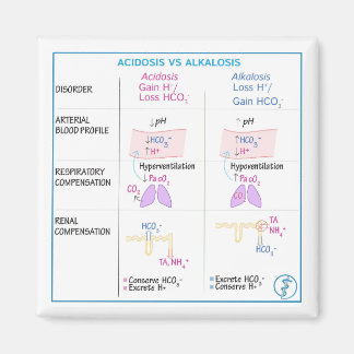 Imán Acidosis vs. Alkalosis Magnet (no flexible)