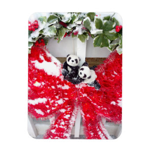 Imán Acómodos Juntos