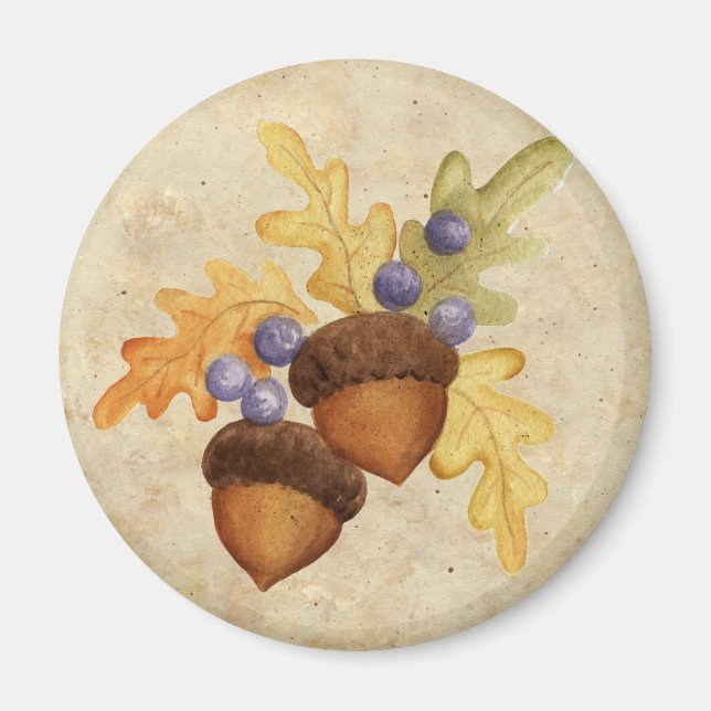 Imán Acorn (Frente)