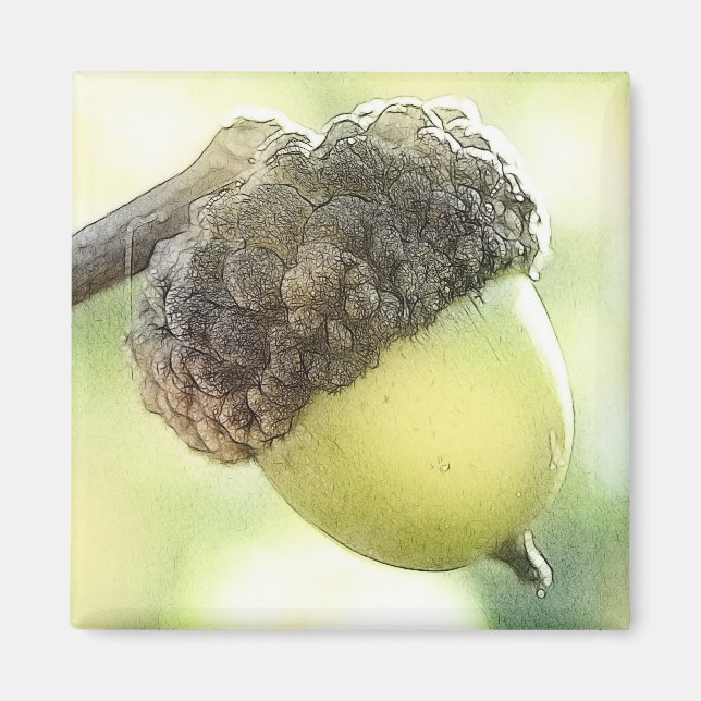 Imán Acorn (Frente)