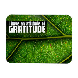 Imán "Actitud de gratitud" Motivación Afirmación