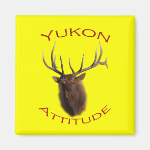 Imán Actitud de Yukon