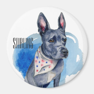 Imán Acuarela adaptable del azul del perro del pitbull