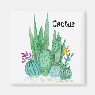 Imán Acuarela , cactus , suculentos