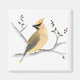 Imán Acuarela Cedar Waxwing Magnet