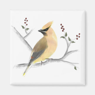 Imán Acuarela Cedar Waxwing Magnet