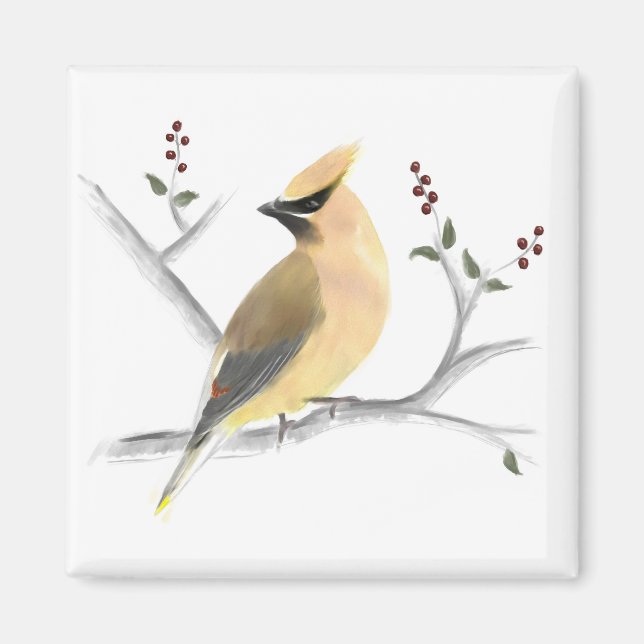 Imán Acuarela Cedar Waxwing Magnet (Frente)