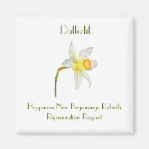 acuarela de Daffodil con flores que significa