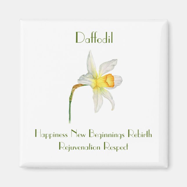 Imán acuarela de Daffodil con flores que significa (Frente)