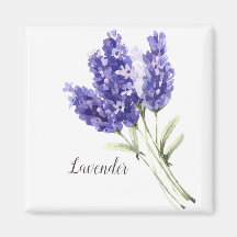 Acuarela de flores de lavanda