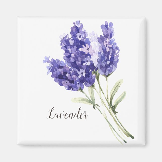 Imán Acuarela de flores de lavanda (Frente)