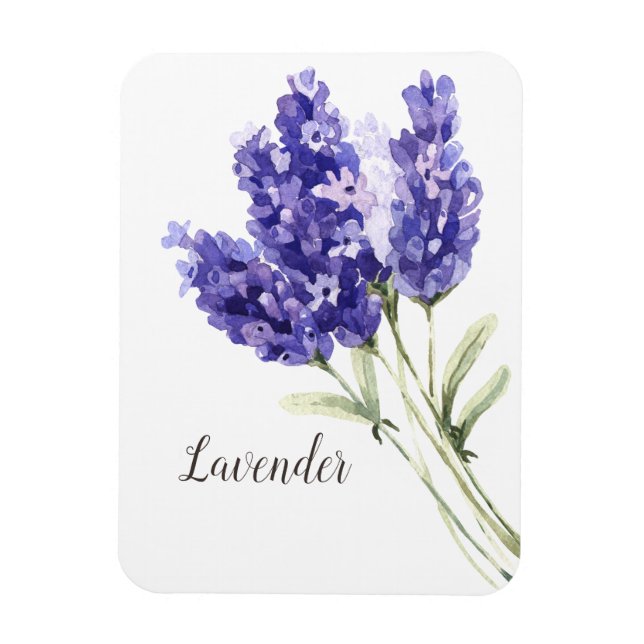 Imán Acuarela de flores de lavanda (Vertical)