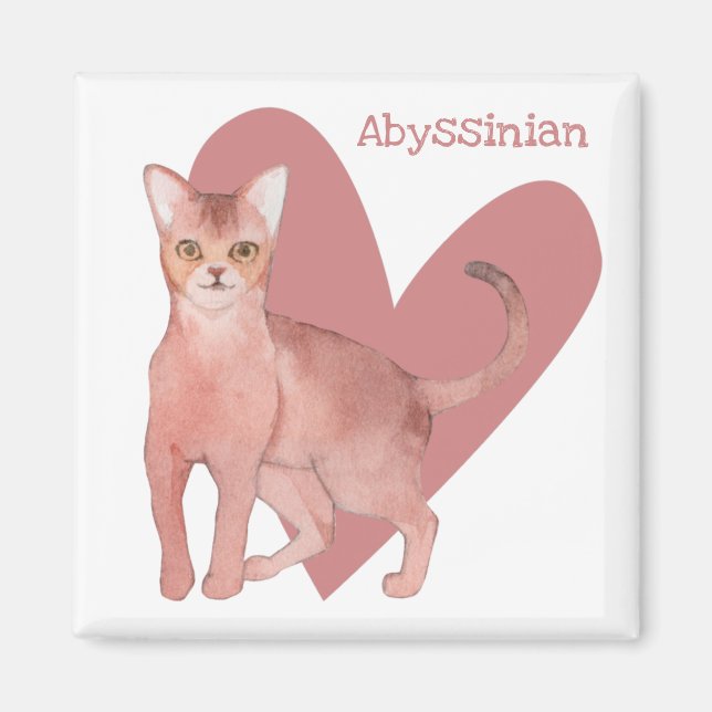 Imán Acuarela De Gato Abysiniano Cristóbal Corazón Rosa (Frente)