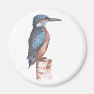 Imán Acuarela de Kingfisher