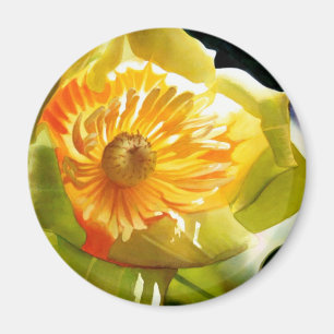Imán "Acuarela de la flor del amarillo del álamo de