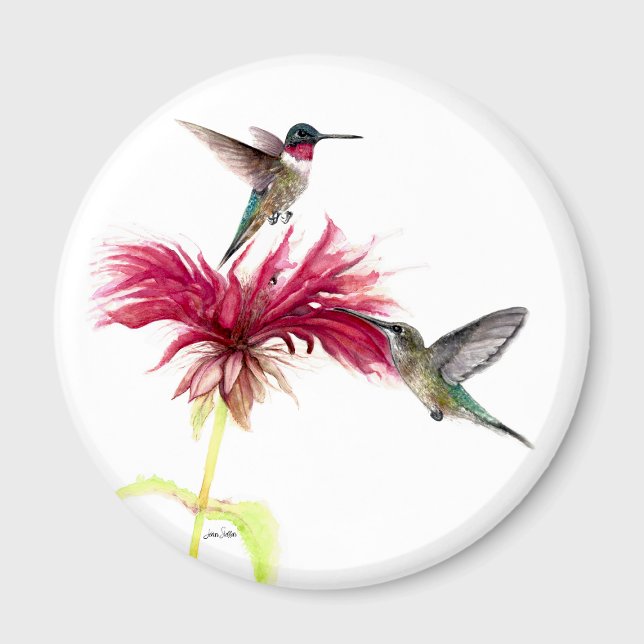 Imán Acuarela Floral de Hummingbirds (Hummingbirds Floral Watercolor Magnet by Jenn Steffen Art)