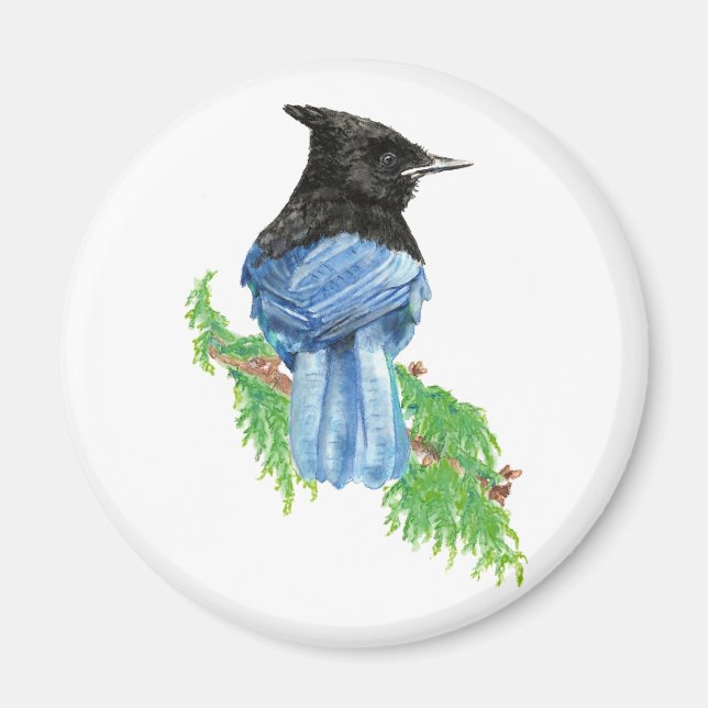 Imán Acuarela Stellar Jay, Pájaro, colección de la natu (Frente)