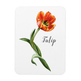 Imán Acuarela Tulip Floral