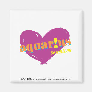 Imán Acuario 2