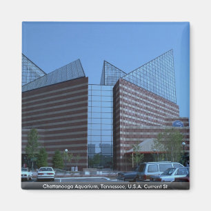 Imán Acuario de Chattanooga, St actual de Tennessee,