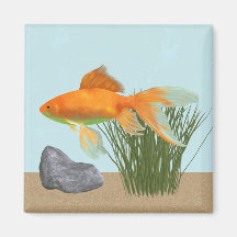 Acuario de la Naturaleza Pez Dorado Naranja