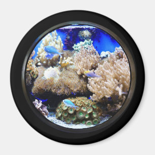 Imán Acuario Pescado tropical y coral