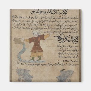 Imán Acuario y Piscis