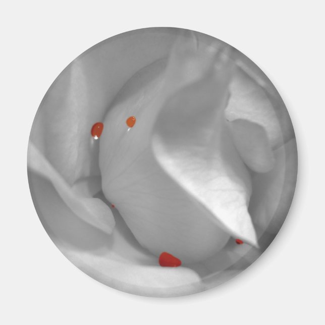 imán acuático eoliano (Frente)