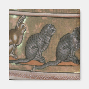 Imán Adán nombra a los animales, de Midlands del Norte