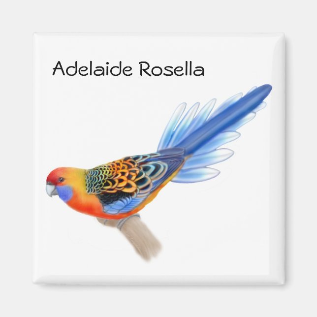 Imán Adelaide Rosella Parrot Magnet (Frente)
