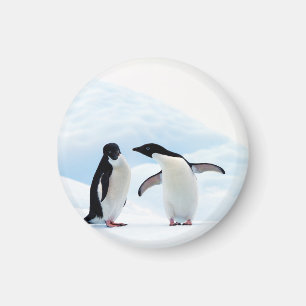Imán Adelie Penguins