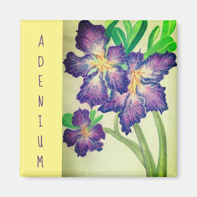 Imán Adenio (Frente)