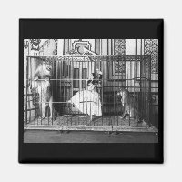 Adgie y sus leones entrenados1897