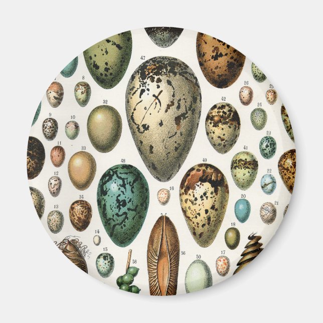 Imán Adolphe Millot Dark Academia Arte Antiguo de Huevo (Frente)