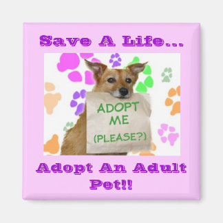 Imán Adopta, Salva Una Vida... ¡Adopta Un Mascota Adult