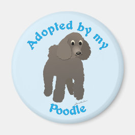 Imán Adoptado por mi Poodle
