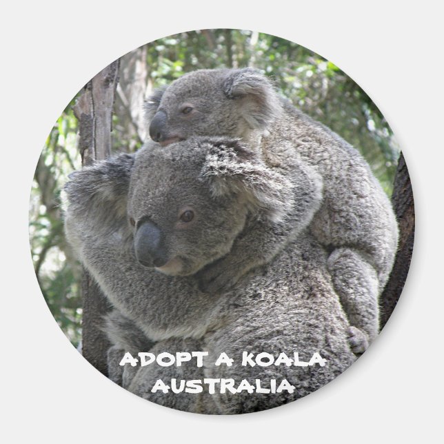 Imán Adoptar un Koala Australia ZIZZAGO (Frente)