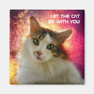 Imán Adorable Cute Calico Cat