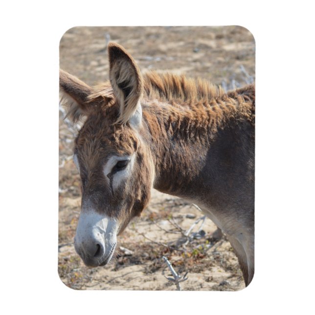 Imán Adorable Donkey (Vertical)