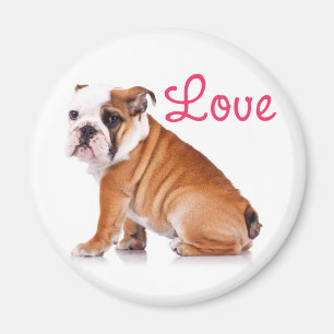 Imán Adorable English Bulldog Amante Perro Divertido