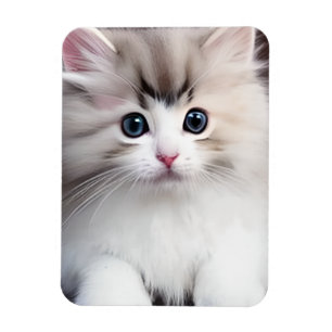 Imán Adorable Kitten