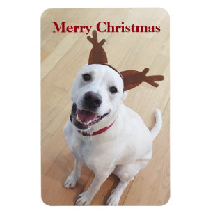 Imán Adorables Navidades de Perro con Cachorro de Rina